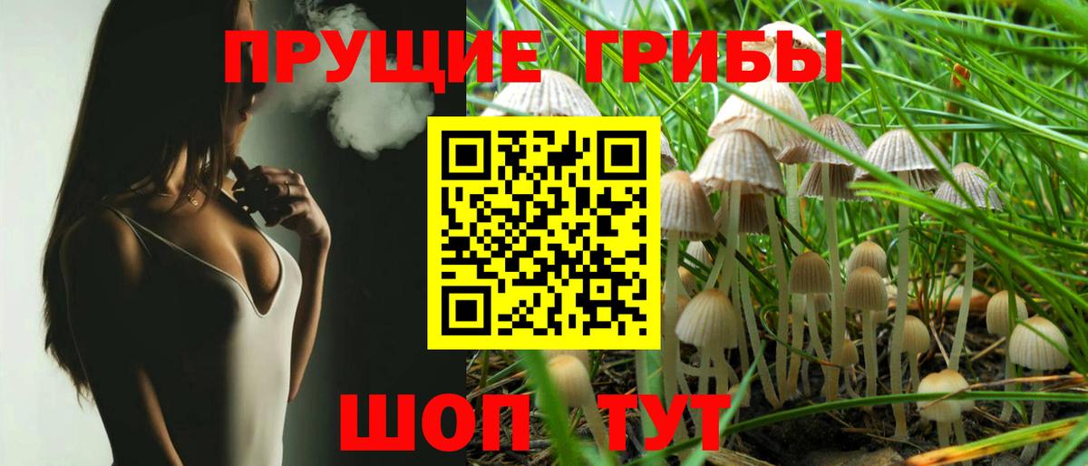 Краснокаменск  Псилоцибиновые грибы MAGIC MUSHROOMS  Вход с VPN 