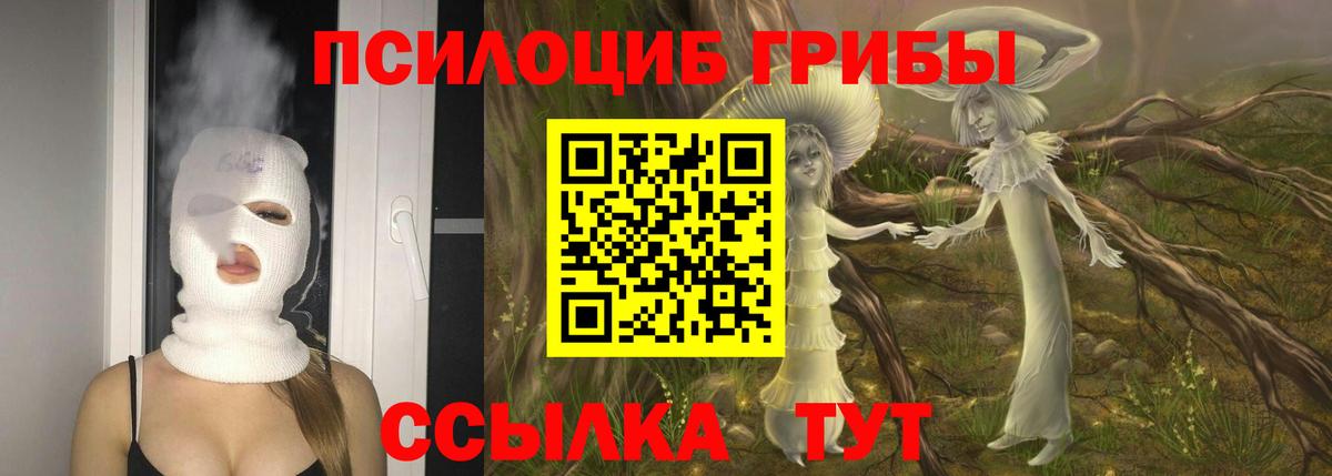 Галлюциногенные грибы GOLDEN TEACHER Краснокаменск